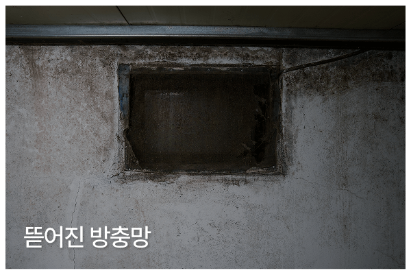 뜯어진 방충망